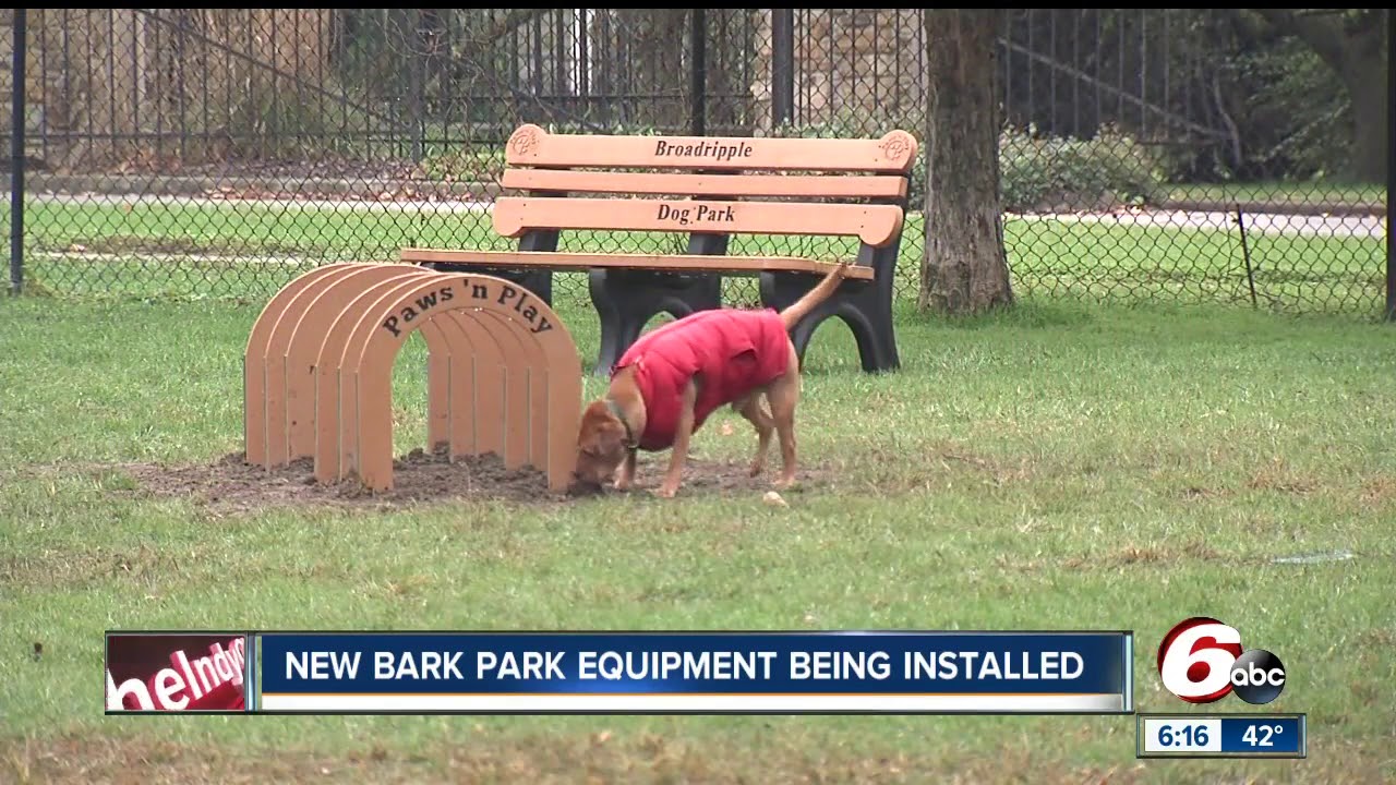 broad ripple dog park broad ripple dog park