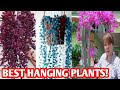 Best hanging plants with namemargie pulido vlogs