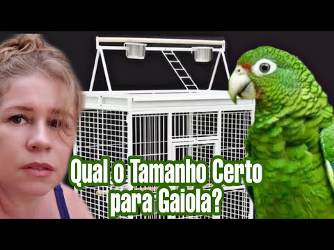 Vídeo: Como Escolher Uma Gaiola Para Um Papagaio