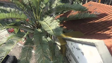 Black ops 3 Across Map Combat Axe Exodus