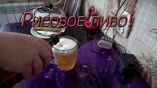 Рисовое пиво в домашних условиях! Вкусное и хмельное!!!