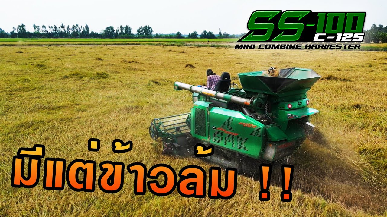 Mini combine harvester | รถเล็กกับนาแปลงใหญ่ข้าวล้ม SS-100C125