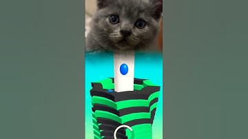 cute cat playing stack ball level 157 #cat #stackball #cuteanimal #funny #cutecat #cutepet #games