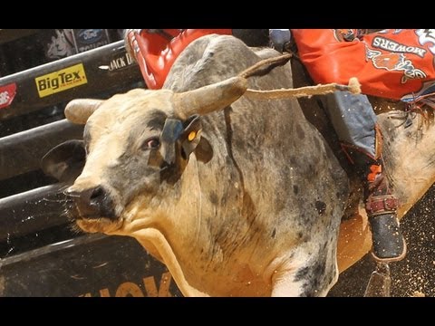 TOP RIDE: Austin Meier 88.25 points on Party All The Time