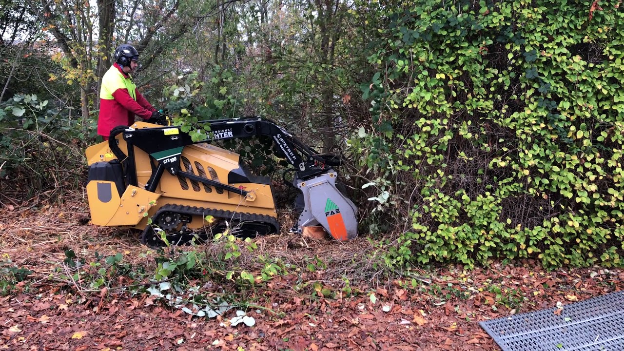 Brombeerhecke mulchen