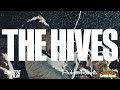 The Hives - Konsertfilm - Grönan Live - 8/9 2017