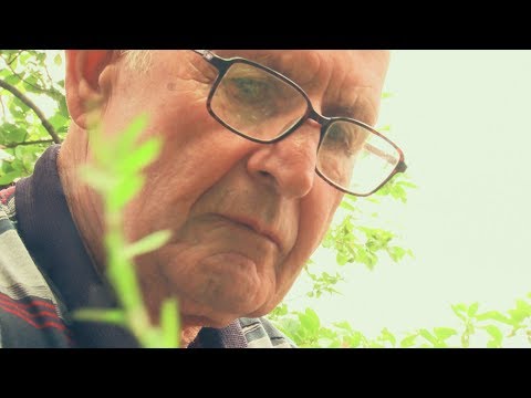 25 ივნისს, 12:45 საათზე, \"ფერმა\"