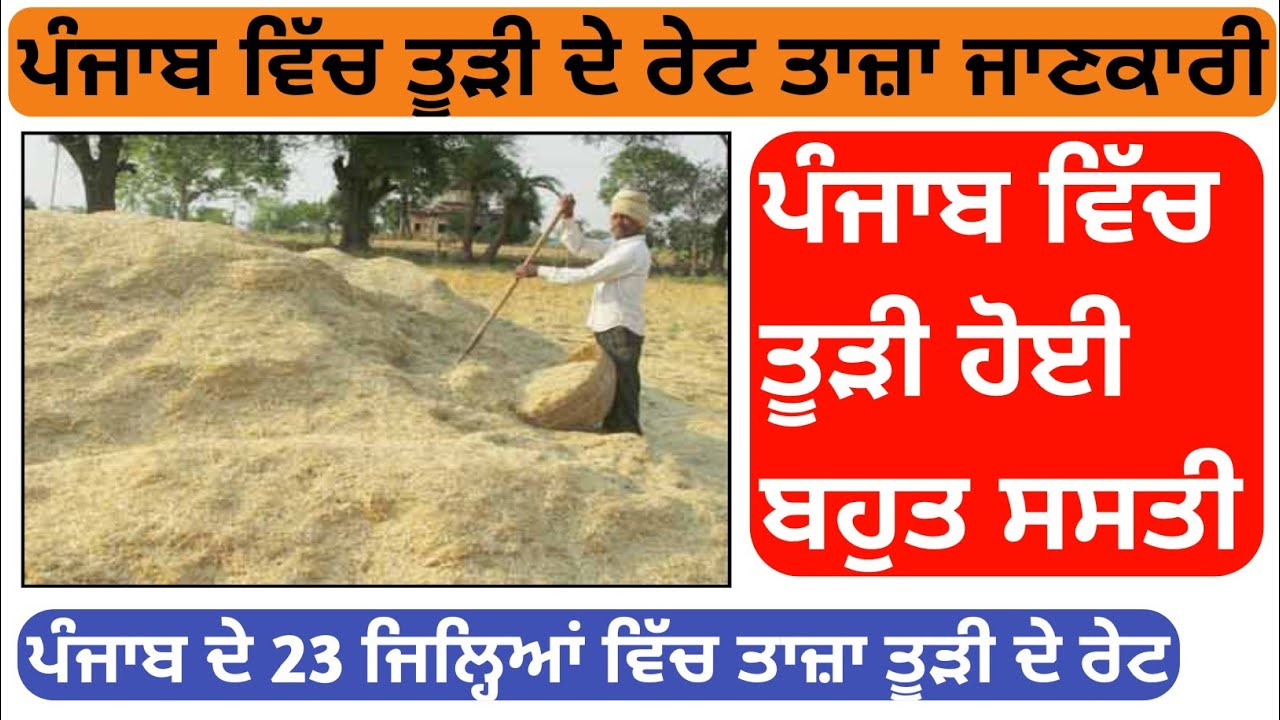  2023 tudi da rate in punjab today punjab news