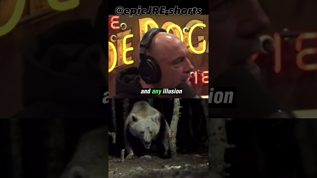 ⁣illusion of surviving a bear attack | Joe Rogan Experience #shorts #grizzlybear #wildlife #podcast