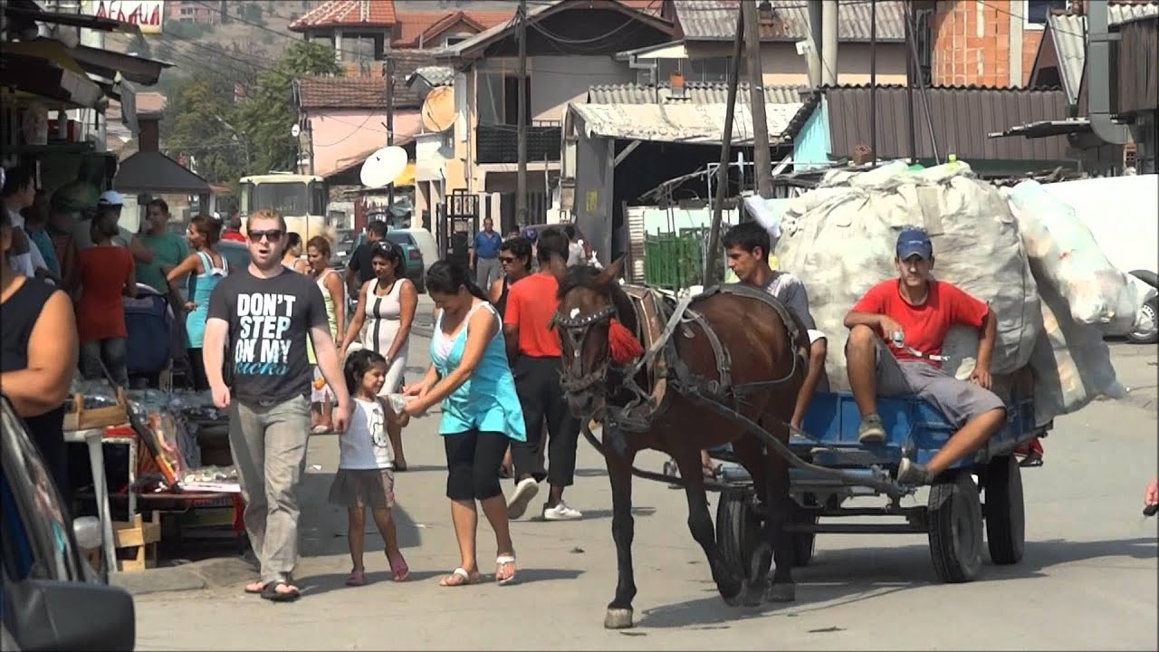 Kurvi skopje od Kurvi skopje