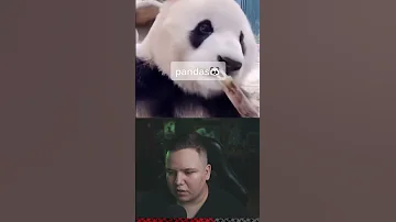 Эти Животные Вымрут до 2025 😱