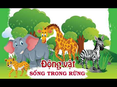 Dạy hát: Đố