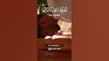 Surah Al-Ankabut 7  | Urdu-Hindi Audio Translation | سورة العنكبوت | #surah #islamdaily #quran