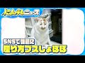 【ネコの証明写真】引っ越しで提出 「座り方ブスしょぼぼ」独特な表情とタイトル…SNSで話題に