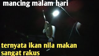 Panen Strike Nila Dimalam Hari //eps 3