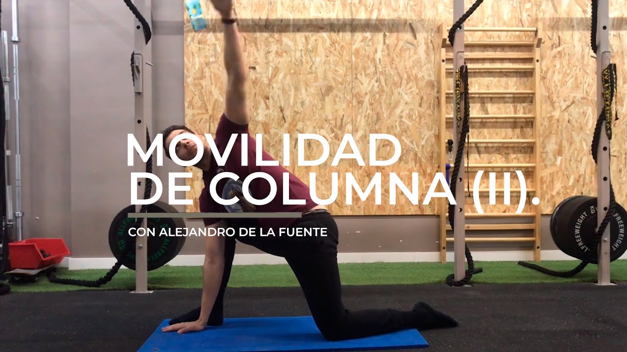 Ejercicios | Movilidad de Columna Vertebral (Nivel II) - YouTube