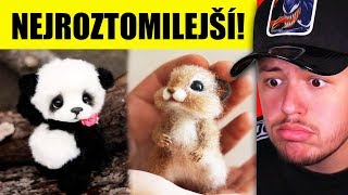 Nejroztomilejší Zvířátka na Internetu!