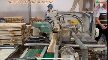 Máy cưa rong Ripsaw lưỡi dưới option Rulo nạp phôi tự động