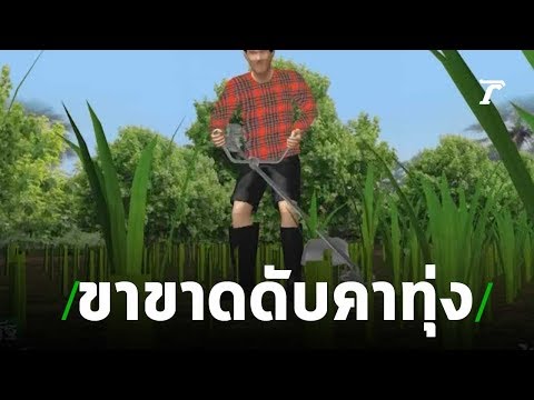 วีดีโอ: คุณจะตรวจสอบการบีบอัดบนเครื่องตัดหญ้าได้อย่างไร?