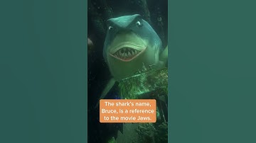 A Surprising Fact About Finding Nemo #shorts