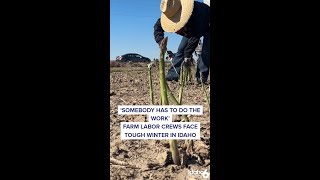 Farmers face tough Idaho winter