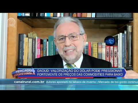 Valorização do dólar pode pressionar os preços das commodities para baixo - Mercado & Cia -13/07