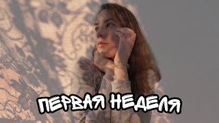 УЧЕБА В КИТАЕ 🇨🇳 ПЕРВЫЕ ШАГИ НА ПУТИ К ЦЕЛИ 🌟