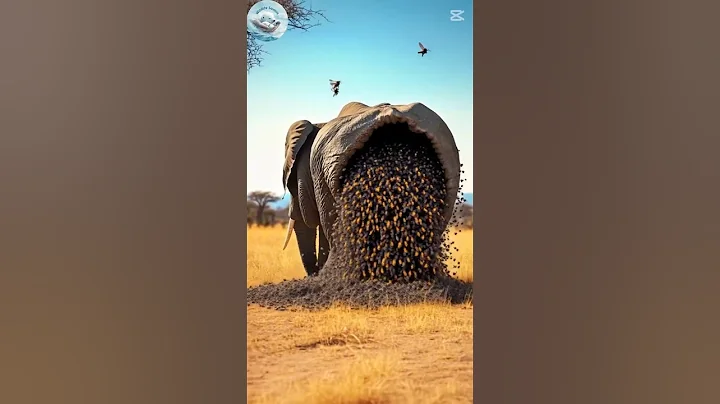 Elephant attacked by hornets after eating honey and rescued by US rescue team thumbnail