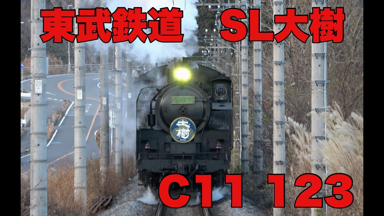 【東武鉄道 C11 123】 SL大樹 ～とある日常にSL大樹を撮影した日～　SL Taiju