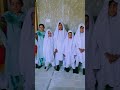 دستار بندی نظم     