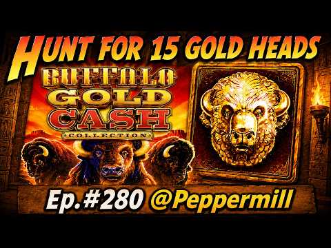 HUNT FOR 15 GOLD HEADS EP. #280, BUFFALO GOLD CASH COLLECTION and SERIES SUMMARY TO DATE!
