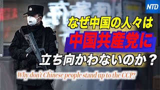 なぜ中国の人々はCCPに立ち向かわないのか？【チャイナ・イン・フォーカス】china in focus Why don’t Chinese people stand up to the CCP?