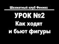 Урок 2. Как ходят и бьют шахматные фигуры.