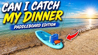 Bass Fishing In Amongst Thousands Of Gulls - Did We Catch Our Dinner?! Sea Fishing UK
