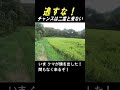 逃すな!発砲チャンスは二度と来ないと思え!#shorts