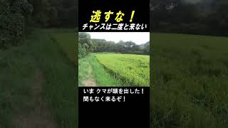 逃すな!発砲チャンスは二度と来ないと思え!#shorts