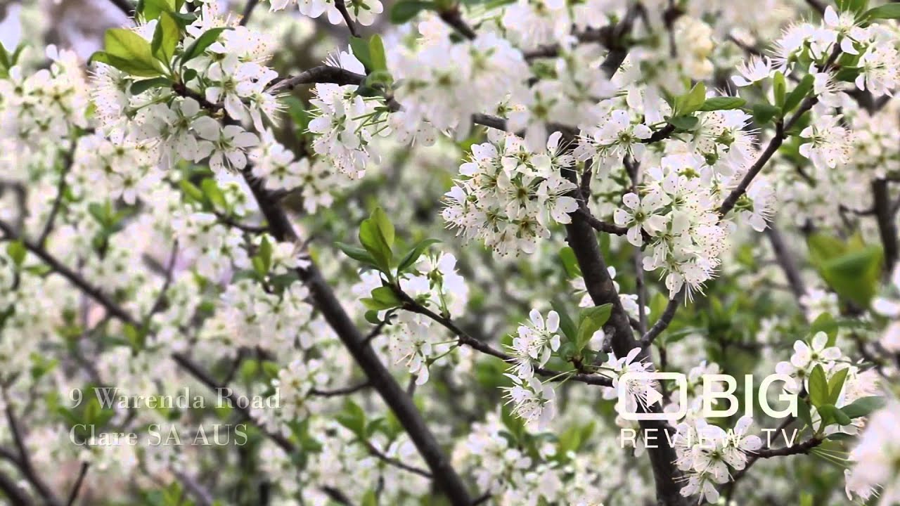 Riesling Trail and Clare Valley Cottage an Accommodation in Adelaide offering Cottage Rentals