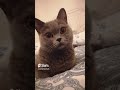 #cute