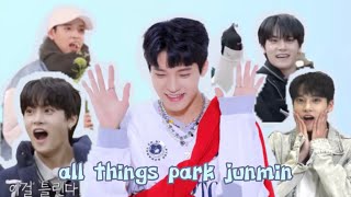 the ultimate guide to all things park junmin