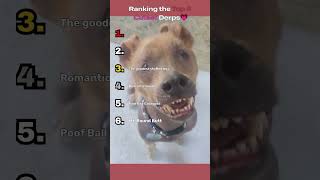 RANKING THE CUTEST DERPS OF TIK TOK! #shorts #cute #anime #animals