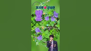Thumbnail of ♥️ #무시로 #신승태 #현역가왕2 #한일톱텐쇼 #나훈아노래 #이호익색소폰