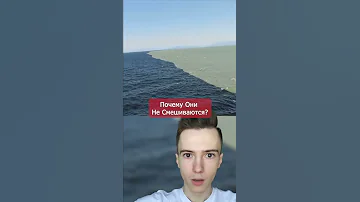Вот почему они не смешиваются #Shorts