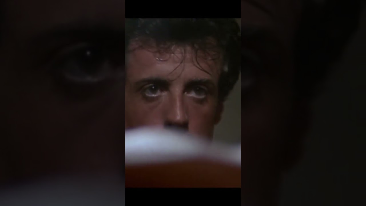 There is no tomorrow!🥊 rocky #shortvideo