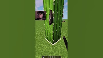 Minecraft Logic That Makes No SENSE! #shorts