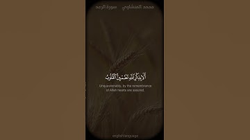 الذين آمنوا وتطمئن قلوبهم بذكر الله - #محمد_صديق_المنشاوي -#سورة_الرعد #حالة_واتس