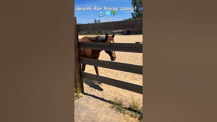 Grwm for horse camp! 🩵🌴🌊 Day: 1