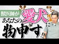 【獣医師が語る】犬種別に病気、性格、飼いやすさなど、独断と偏見でケチをつけます