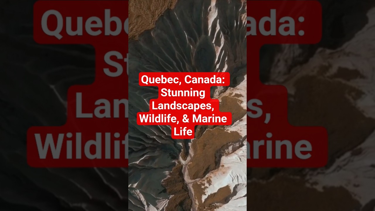 Природа национального парка Квебека и богатый выбор развлечений на свежем воздухе, таких как пеши...