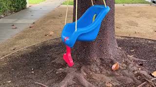 Little Tikes 2 in 1 Snug 'n Secure Swing Blue Review, BABY Swing AND TODDLER Swing IN ONE