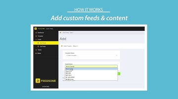 Feedsome Promo Video Long Version